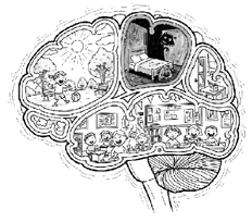 மனிதக்குழந்தையின் நினைவு பொதிகள்