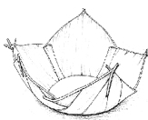 போன்சாய் வாழ்க்கை