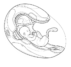 செயற்கை கருவறை