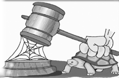 சட்டத்தை தெரிந்து கொள்ளுங்கள்