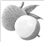 நோய் எதிர்ப்பு சக்தியை அதிகரிக்கும்- “லிச்சி”