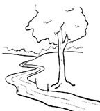 மனம் எனும் மாயை