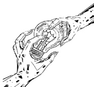 “பல்பு திருடன்”