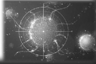 புதிய கண்டுபிடிப்பு