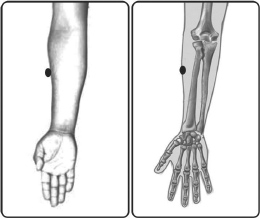 வர்மம் எனும் மர்மக்கலை!