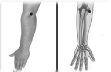 வர்மம் எனும் மர்மக்கலை!