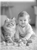 மியா என் பூனைக்குட்டி