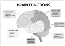 மறதி-மூளையின் அமைதியான அறிவியல் புரட்சி